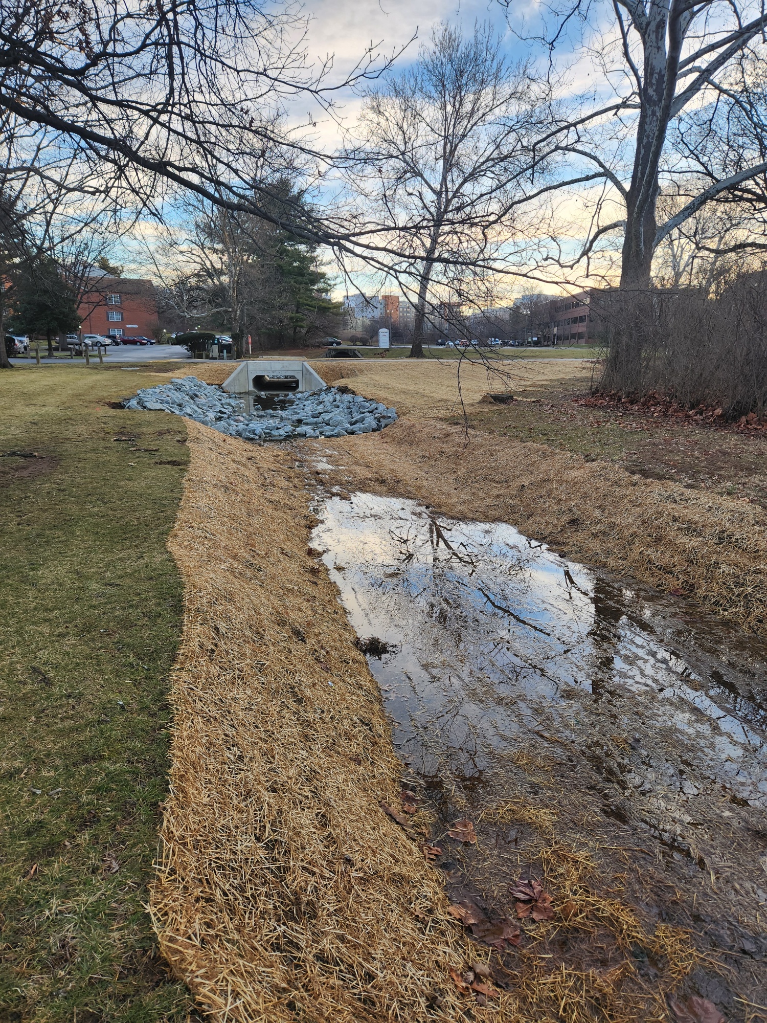 Glenhardie Culvert Replacement