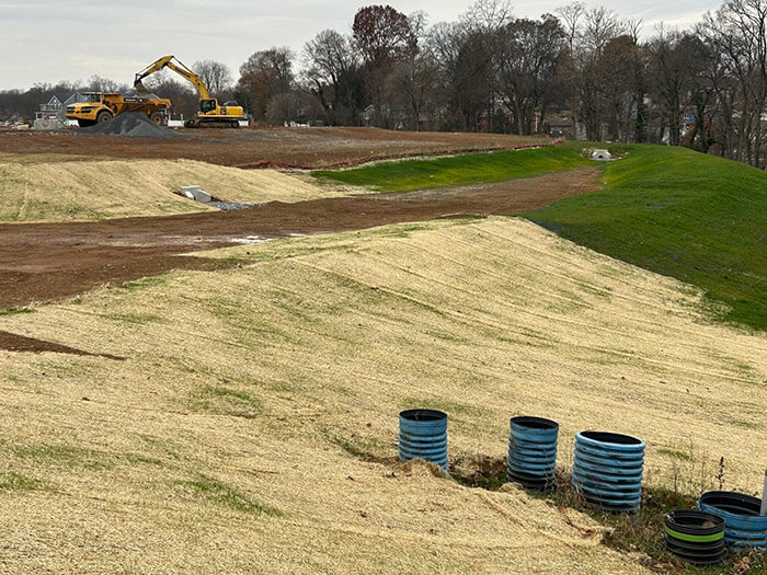 green lane meadows site