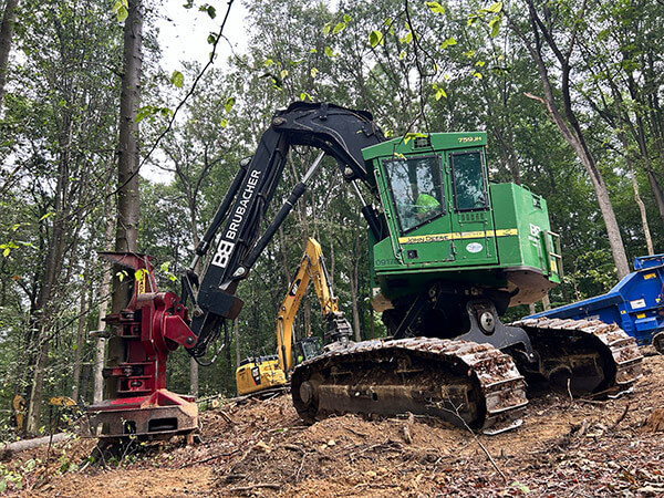 A green forestry excavator with a tree shear attachment works in a lush forest, surrounded by tall trees, conveying a sense of industrious activity.