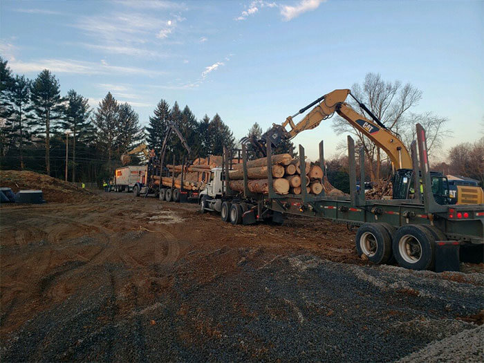 land clearing stacking logs on trailer