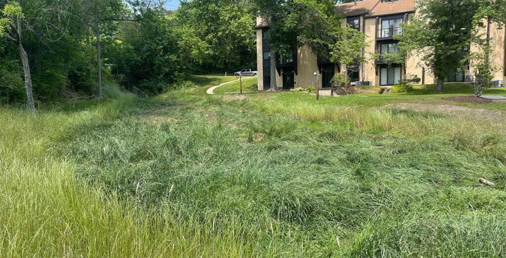 Painters Crossing LandStudies Collaboration Brubacher Excavating Inc.